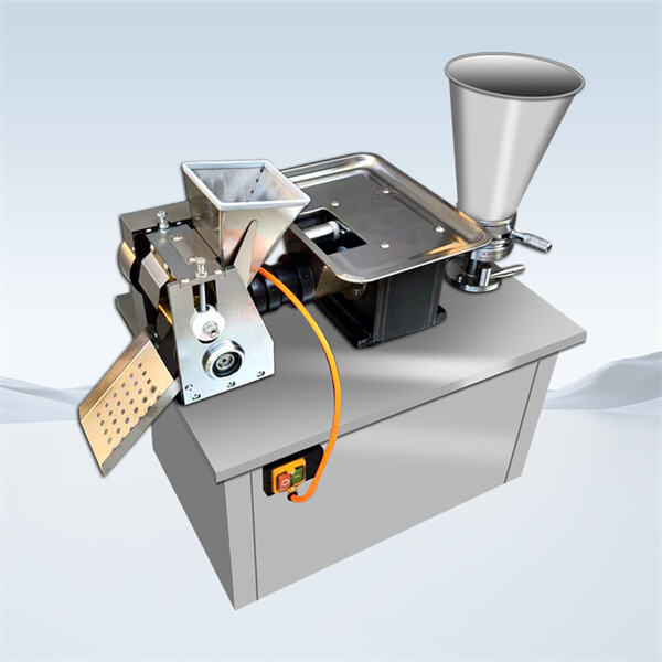 Make Delicious Dumplings at Home with a Momo Maker