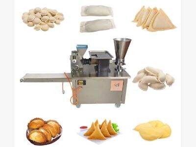 Why Automatic Dumpling Machines Adapt to Different Dough Types (Wheat, Rice)