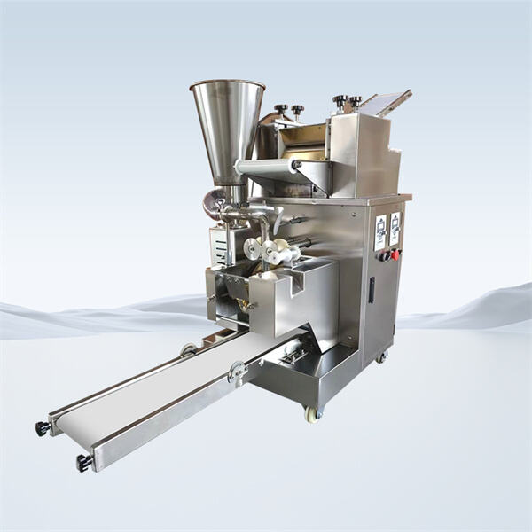 Impress Your Family and Friends with Perfectly Shaped Momos