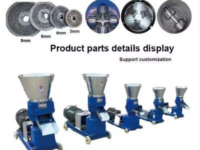 Leading Manufacturers of Feed Pelletizing Solutions in Europe