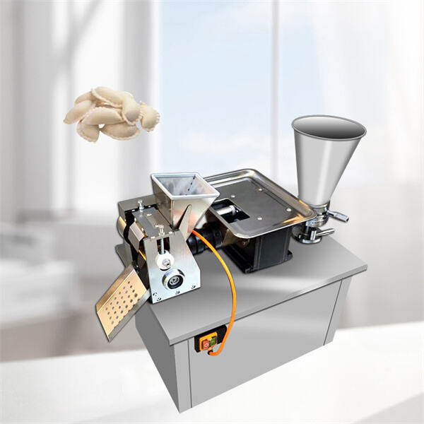 Master the Art of Dumpling Making