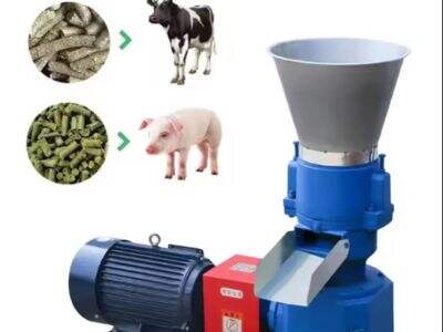 Top Feed Pellet Machine Brands for Southeast Asian Farms