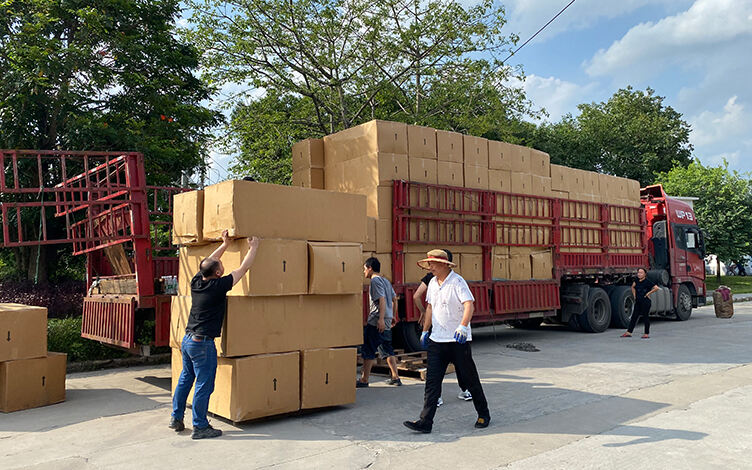 Containerización de mercancías para exportación.