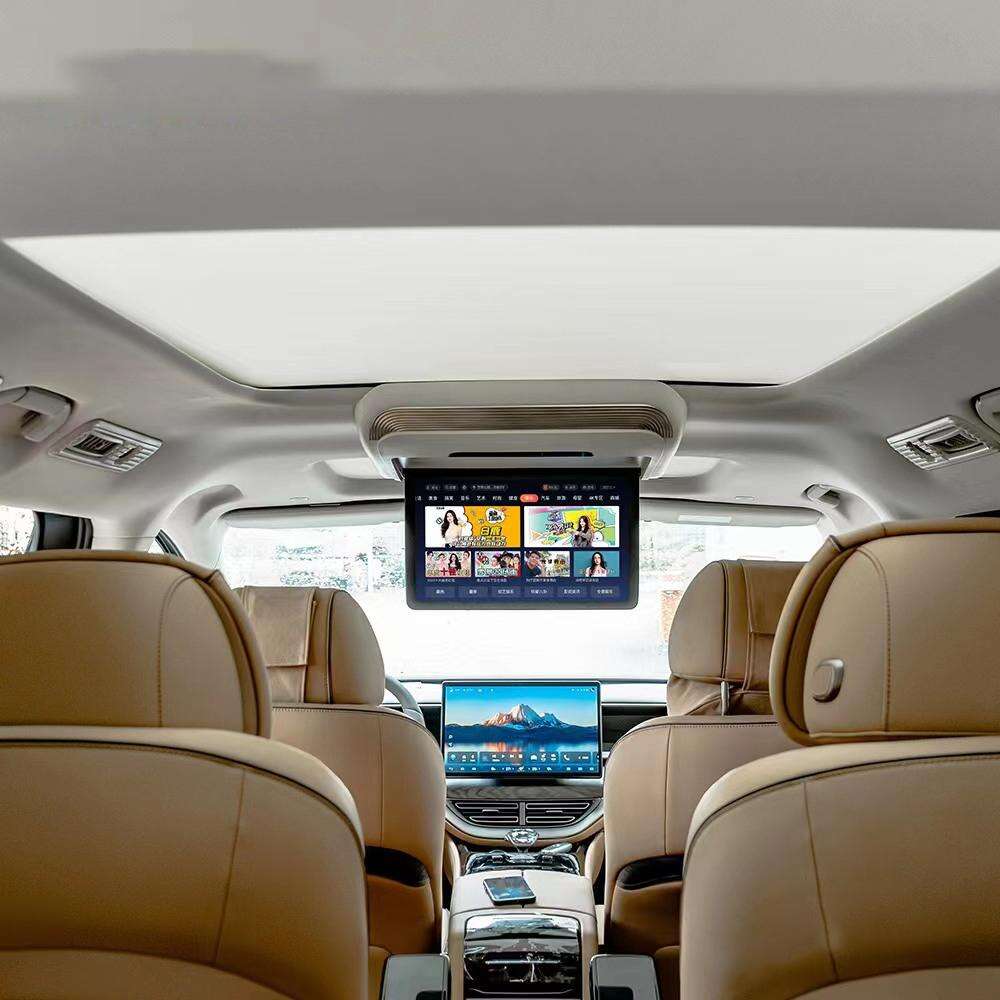 Wholesale buyers love the innovative features of Denza D9 roof TV