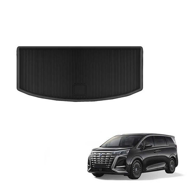 The Cutting-Edge Technology of the Denza D9 TPE