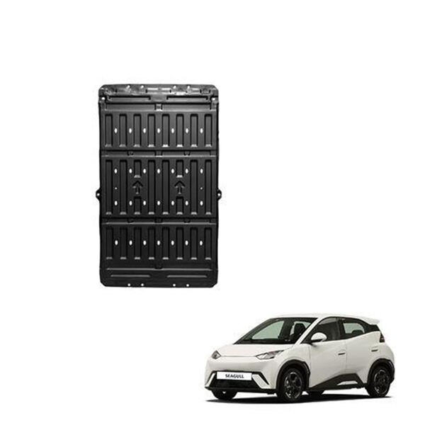 The Fascinating World of Seagulls Unveiled