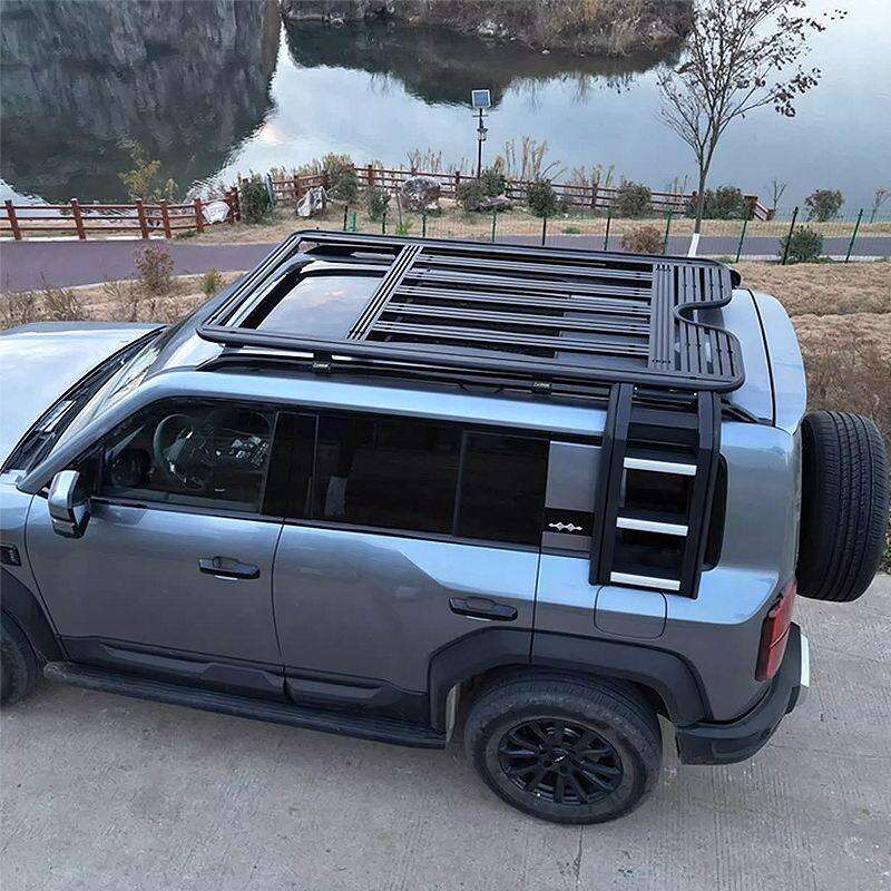 احصل على أفضل قيمة مقابل أموالك مع رفوف السقف المتميزة الخاصة بـ Denza B8