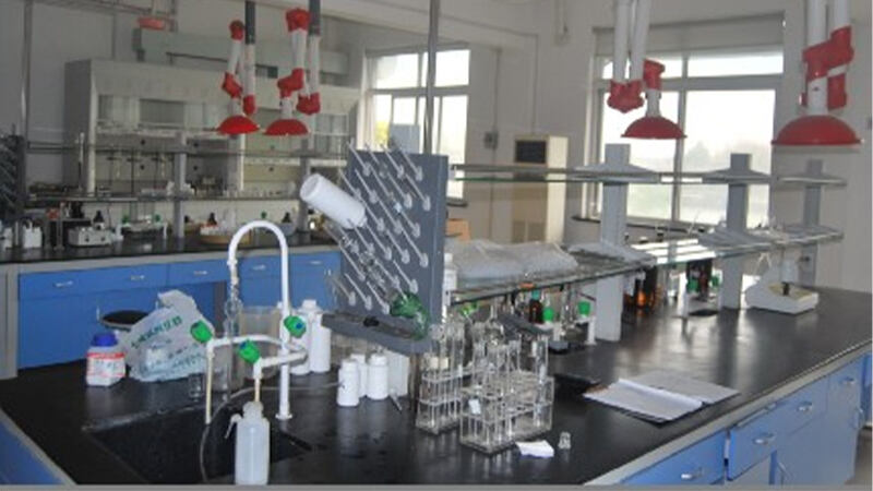 Professional Chemistry Lab