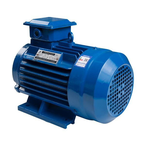 Safety Features of the 25 hp Electric Motor