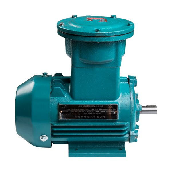 Key Companies in Explosion Proof AC Motors