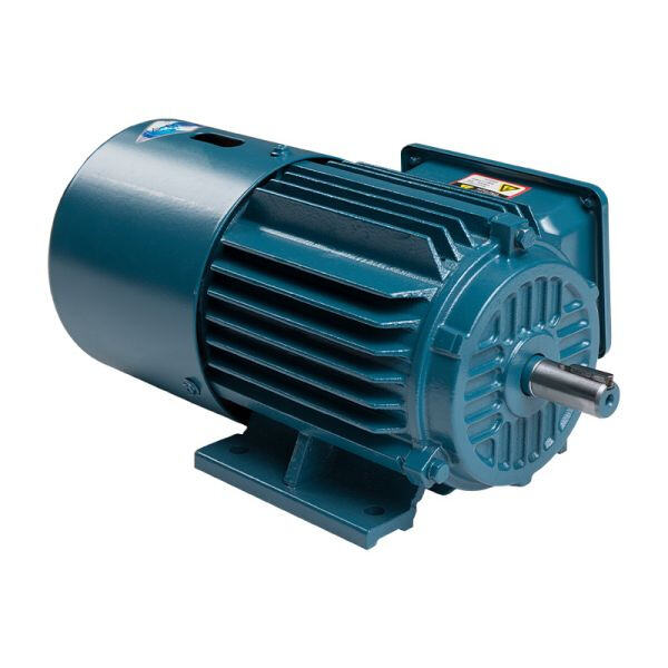 Safety of Induction Electric Motors