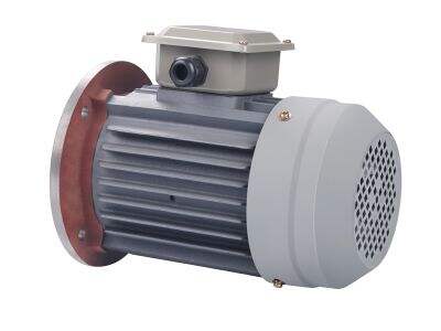 Top 5 Excellent Electric Motor Suppliers with Competitive Prices Worldwide