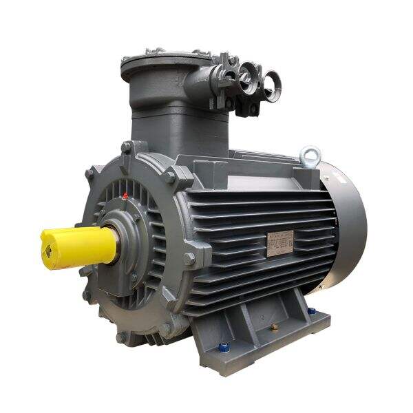 Innovation in Industrial Electric Motors