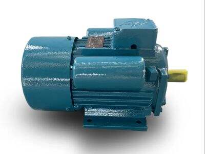 Stay Ahead of The Competition with These 5 Top Suppliers' Premium Induction Electric Motors