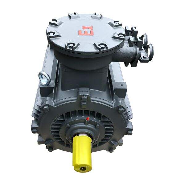 Safety of High Torque Electric Motors