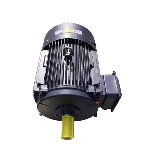 Advantages of a 30 HP Electric Motor: