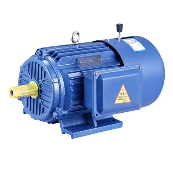 Security of Industrial Electric Motors