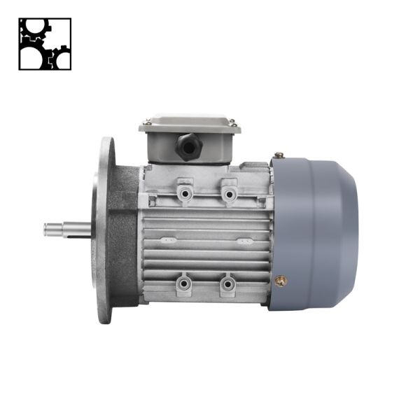 Explaining the Demand for 1.5 HP Single-Phase Motors in Industry