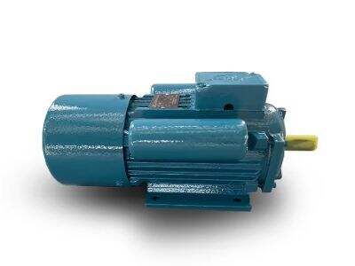 Top 10 Your Trusted Source for Reliable Electric Motors in Philippine