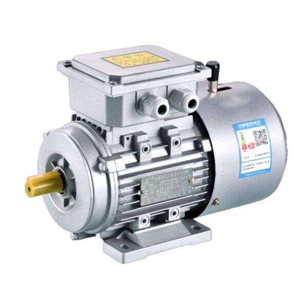 Energy Efficiency and Cost Savings with Three-Phase Electric Motors