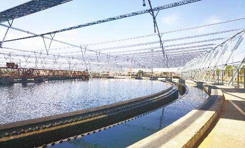 Flexible support project of distributed photovoltaic project of western sewage treatment plant