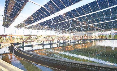 Flexible support project of distributed photovoltaic project of western sewage treatment plant