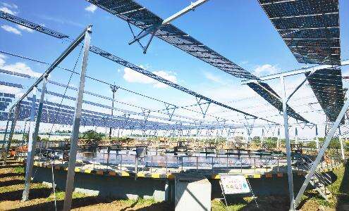 Flexible support project of distributed photovoltaic project of western sewage treatment plant