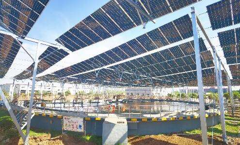 Flexible support project of distributed photovoltaic project of western sewage treatment plant