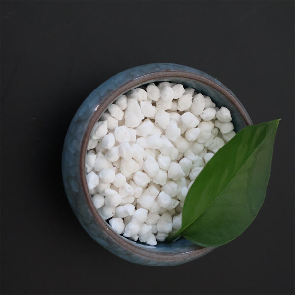 Exploring the many benefits of magnesium supplementation for improved health