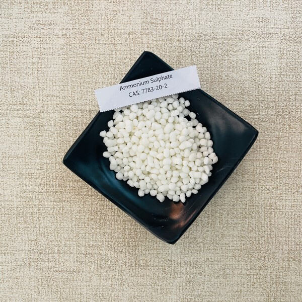 Viskas, kas reikalinga apie NH4 2 SO4 optimaliam daržovių grąžos siekiant