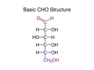 CHO paslaptys: kur jis slepiasi gamtoje?