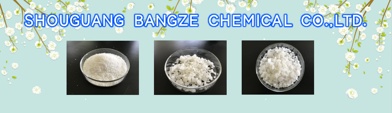 BANGZE Industrial Grade Ammonium Sulfate Fertilizer 21% Nitrogen 25kg Bags of NH4)2SO4 Factory Prices factory