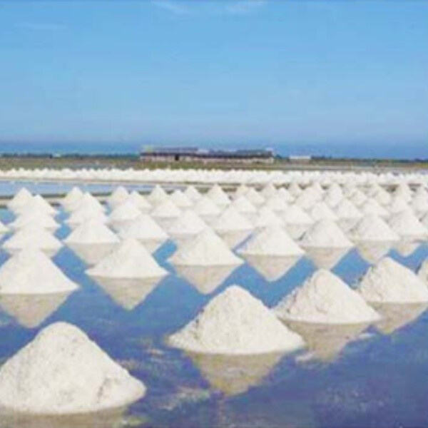 Safety of Sea Salt