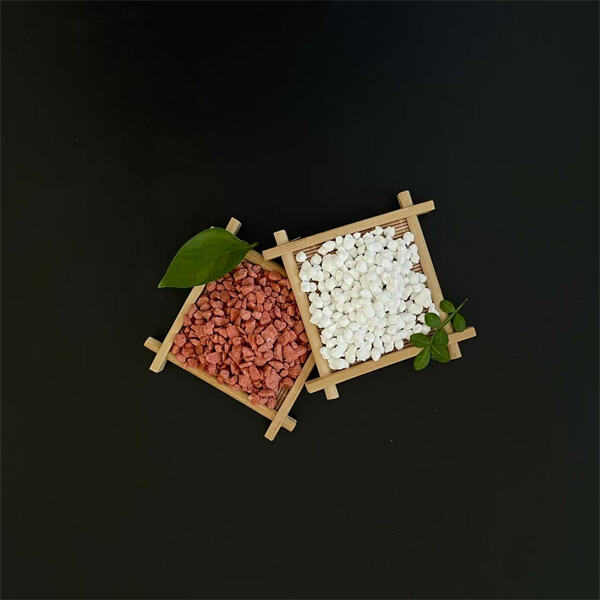 Finding the best sources of magnesium chloride to boost your daily intake