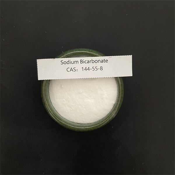 The dangers of imbalanced sodium and bicarbonate levels in the body
