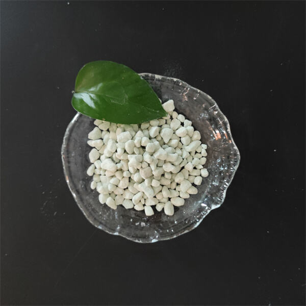 What You Need to Know about Feso4 Ferrous Sulfate Supplementation".