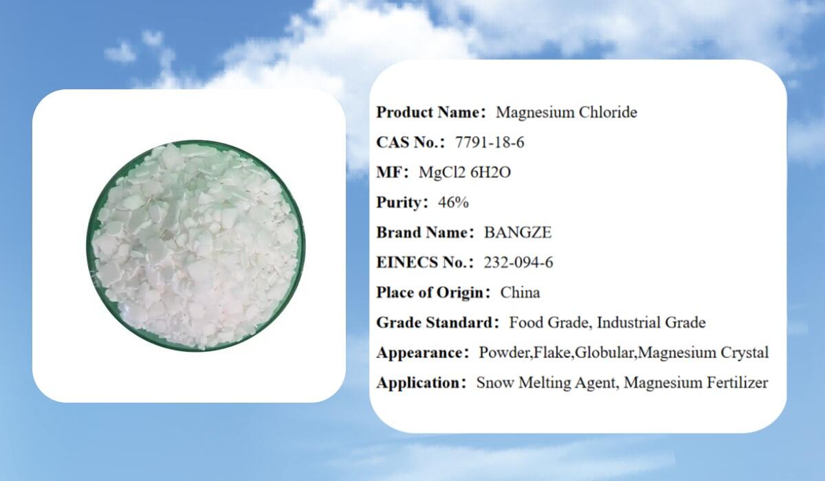 BangZe Wholesale 46% Magnesium Flake MgCl2 6H2O Magnesium Chloride Hexahydrate manufacture