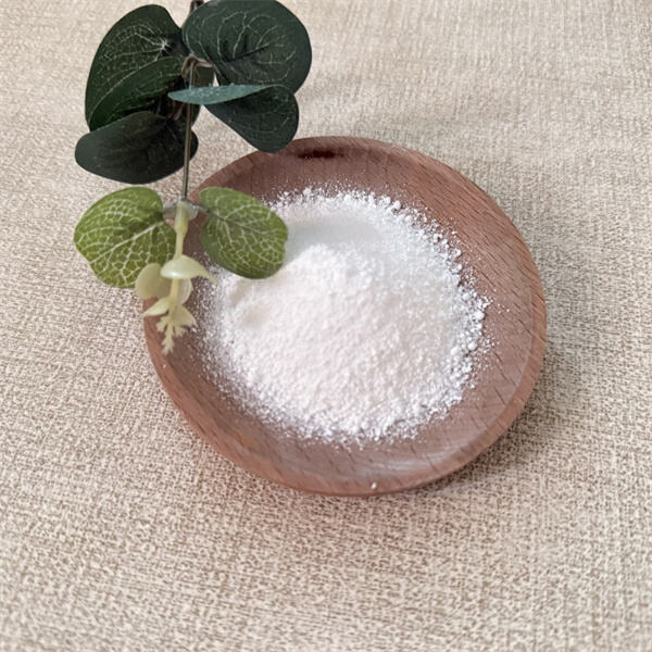 Exploring the Environmental Impact of Chemical Soda Ash Production and Disposal