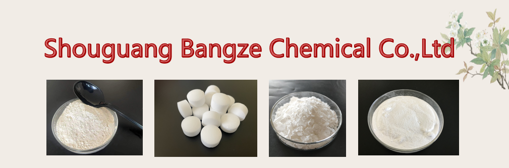 BANGZE Good Price 99%Min Food Grade Feed Grade Sodium Bicarbonate Baking Soda details