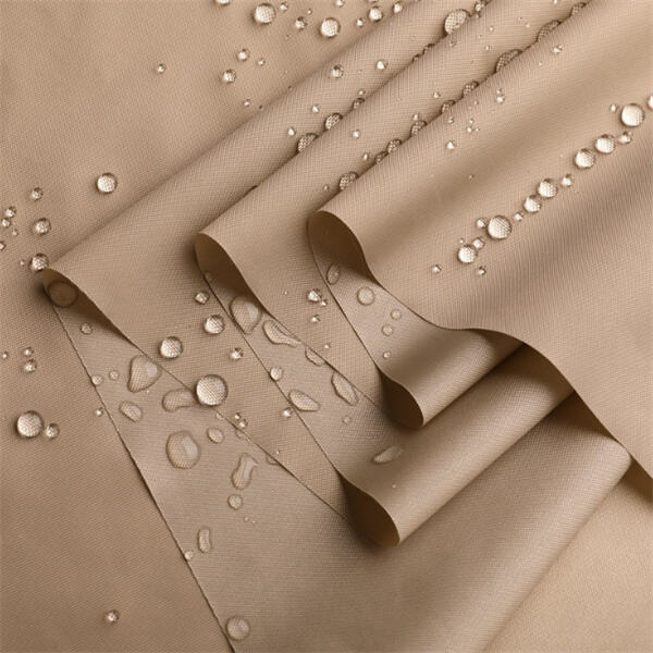 Affordable options for your business