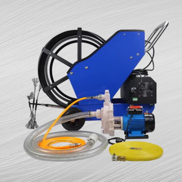 What to Expect and Why You Need Them