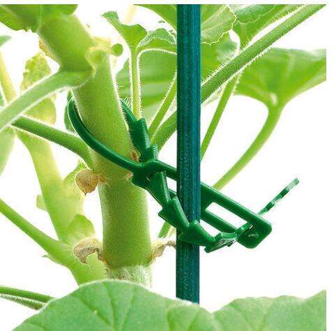 Garden Plastic Adjustable Ties manufacture