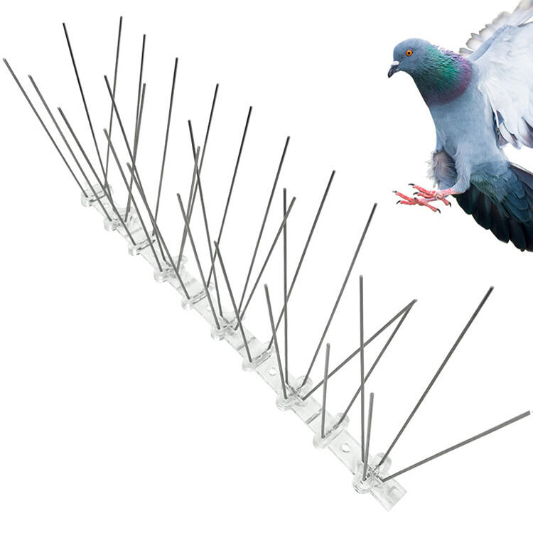 To prevent the invasion of pigeons and some other birds, people can install bird spikes.