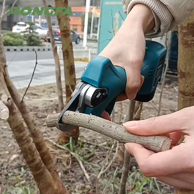 Paano Pumili ng Tamang Shrub Cutting Tool para sa Iyong Pangangailangan