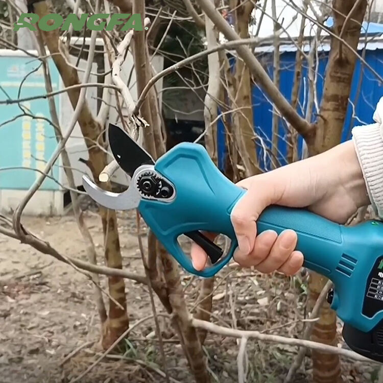 Master the Art of Shrub Cutting with these Tools and Techniques