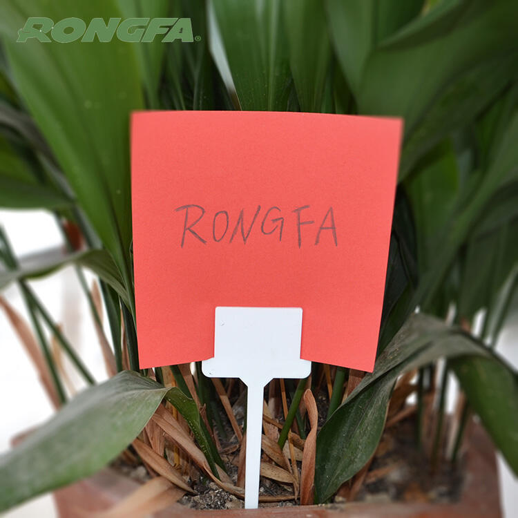 Never Forget a Plant's Name Again with Name Tags