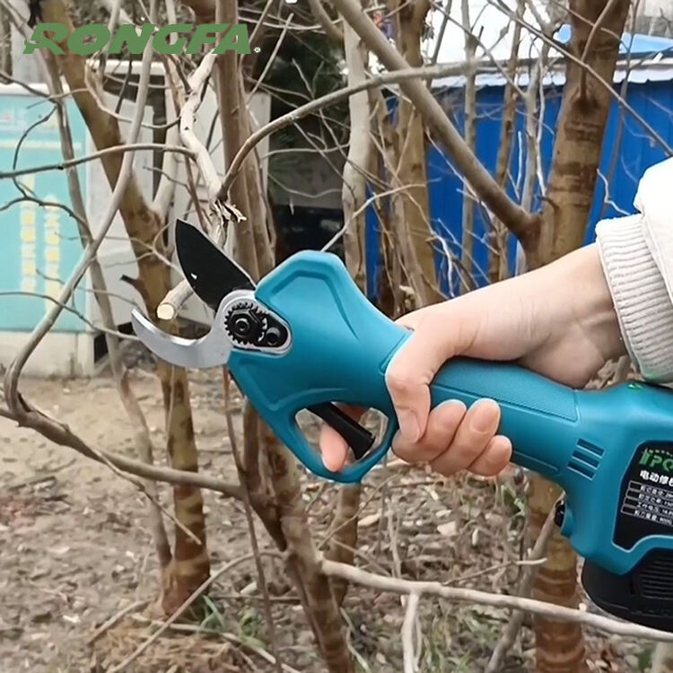 Top 5 Tools for Efficient Shrub Cutting