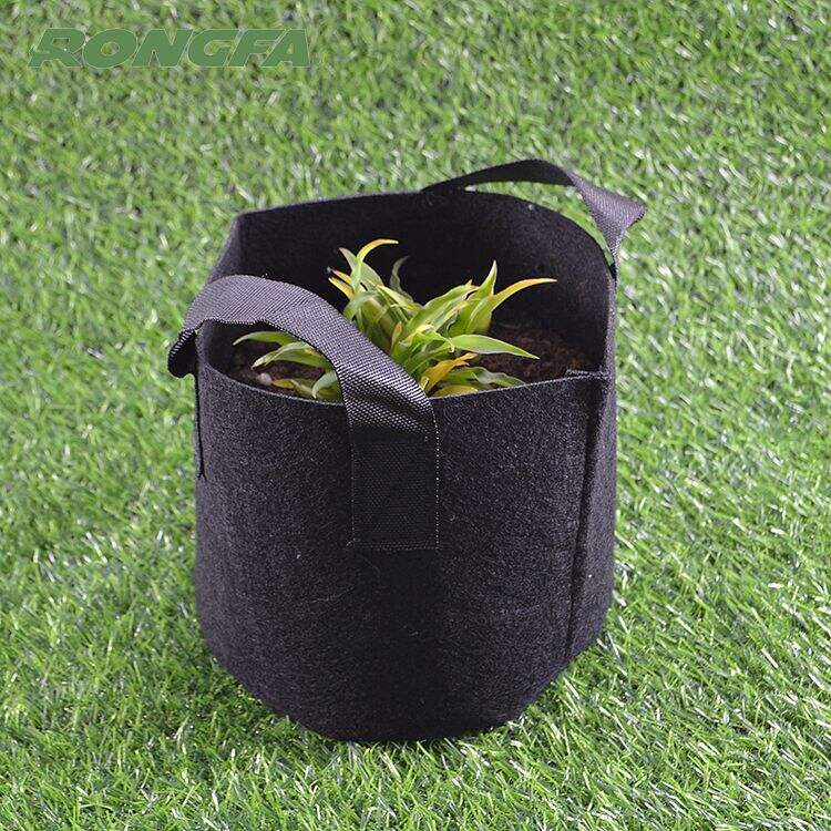 La commodité des sacs de culture en tissu pour le jardinage en conteneur