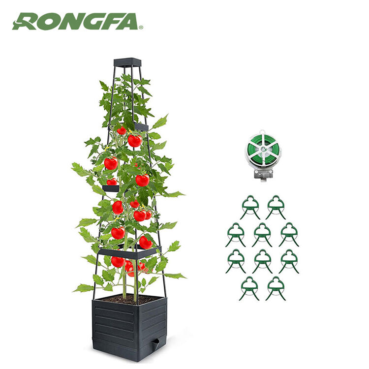 Say goodbye to messy tomato vines with cages