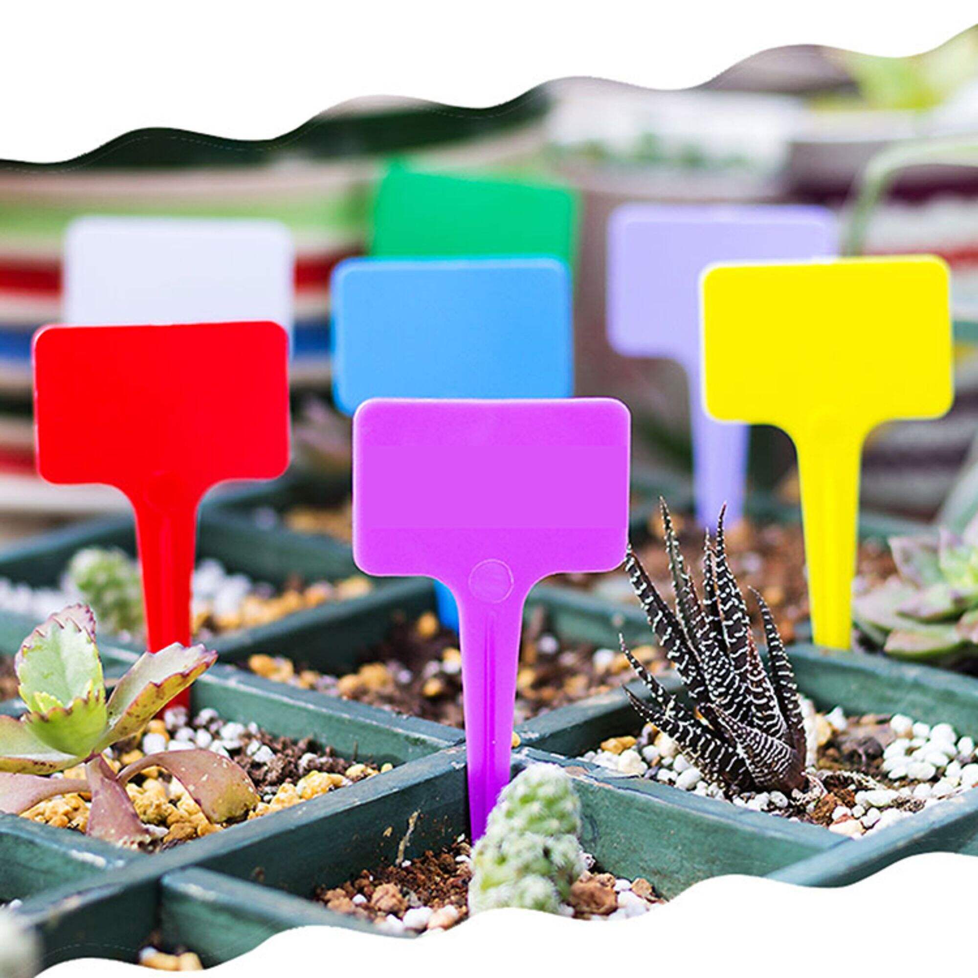 Garden Colorful Plastic T-Type Plant Label